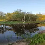 6 Person In *